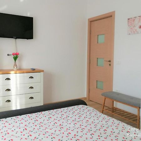 Cozy Apartment Bujorilor 苏恰瓦 外观 照片