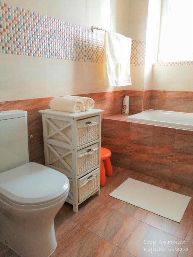 Cozy Apartment Bujorilor 苏恰瓦 外观 照片