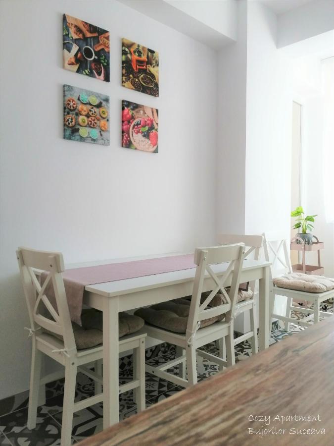 Cozy Apartment Bujorilor 苏恰瓦 外观 照片