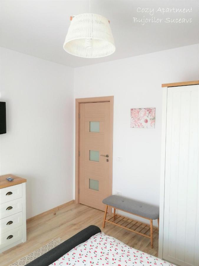 Cozy Apartment Bujorilor 苏恰瓦 外观 照片