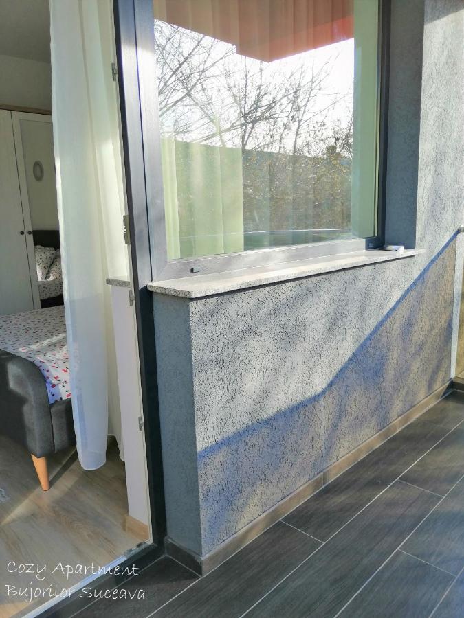 Cozy Apartment Bujorilor 苏恰瓦 外观 照片