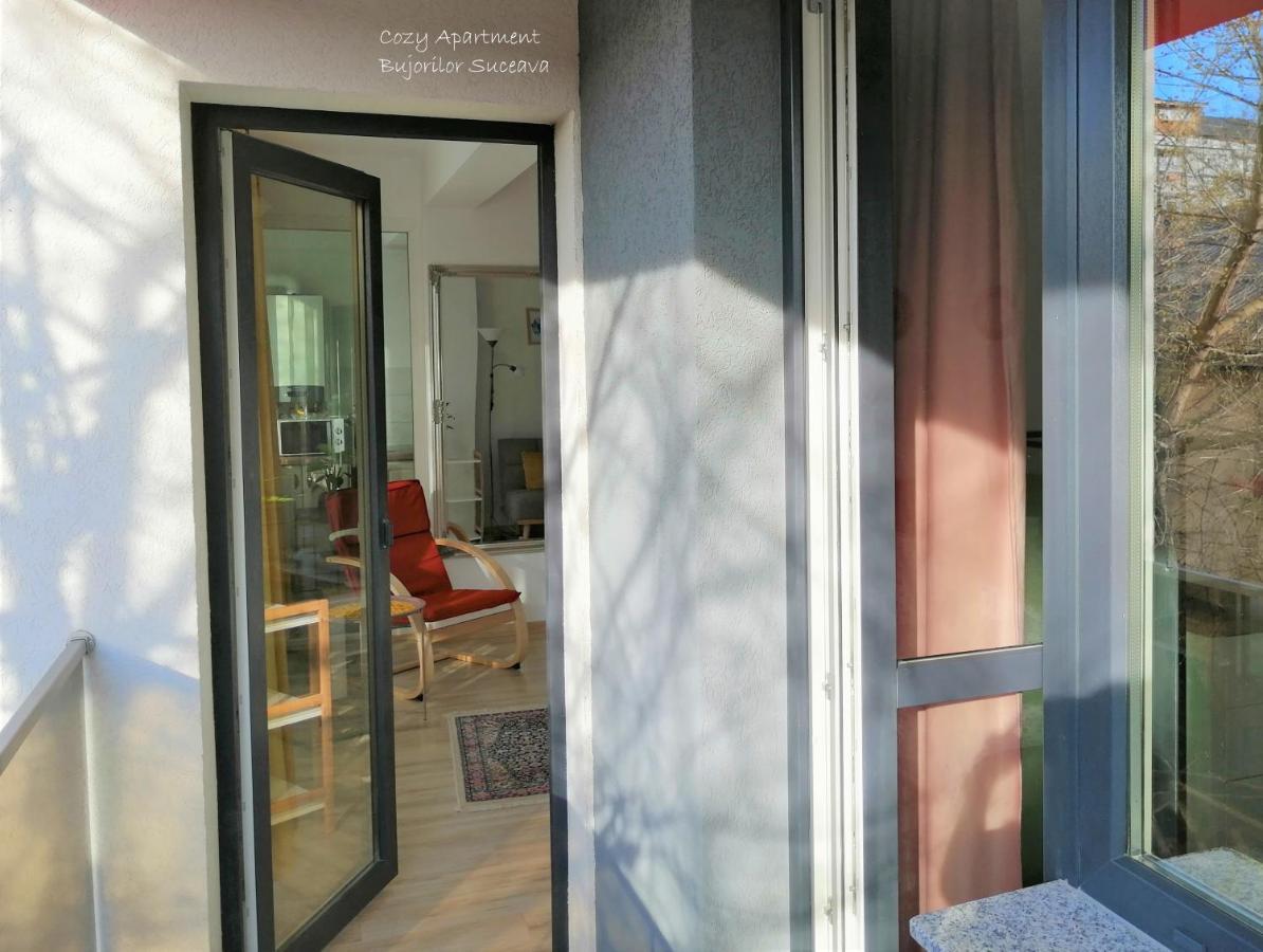 Cozy Apartment Bujorilor 苏恰瓦 外观 照片
