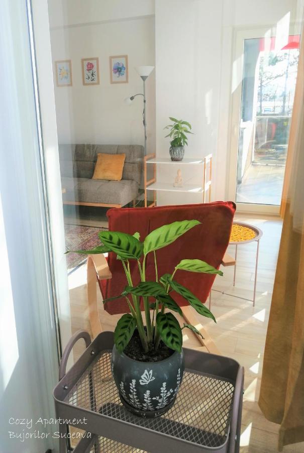 Cozy Apartment Bujorilor 苏恰瓦 外观 照片