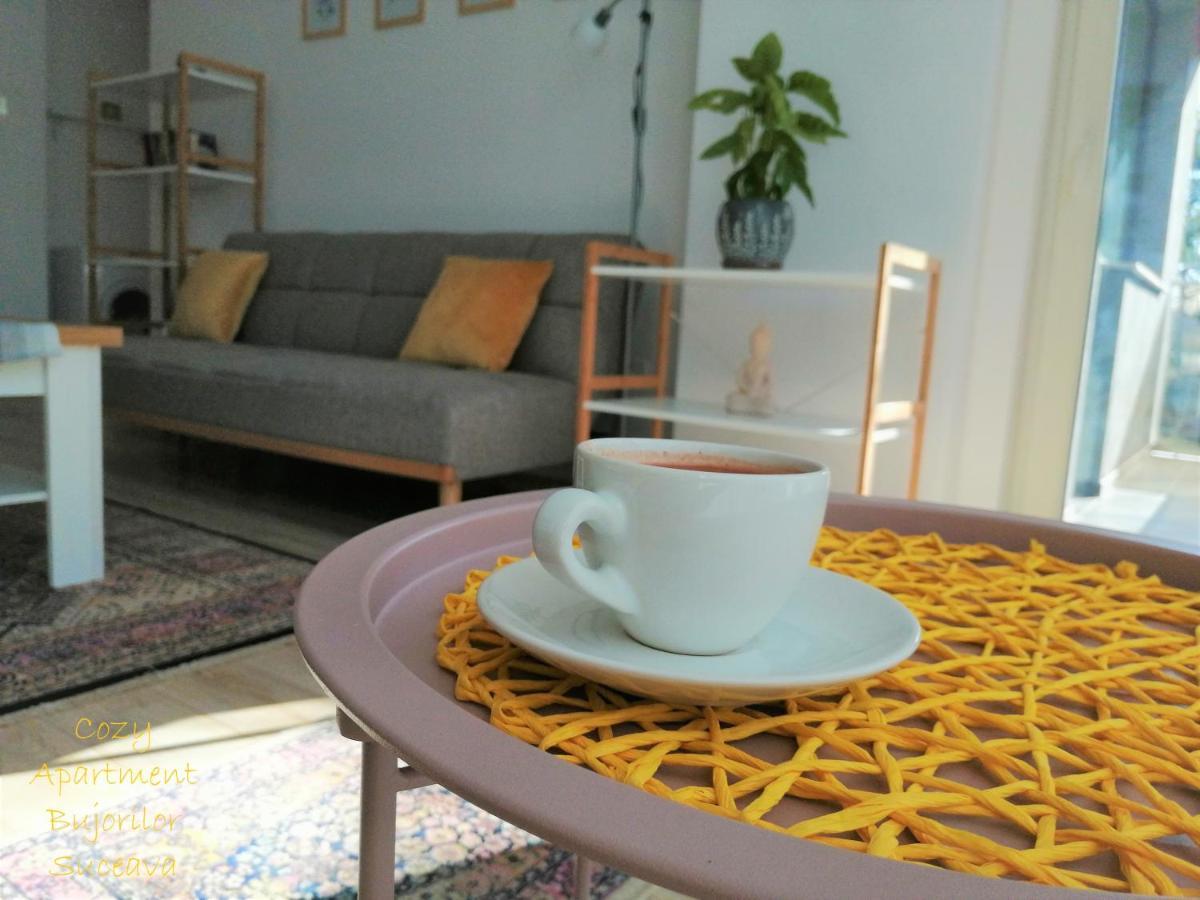 Cozy Apartment Bujorilor 苏恰瓦 外观 照片