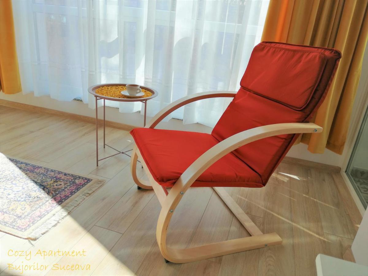 Cozy Apartment Bujorilor 苏恰瓦 外观 照片