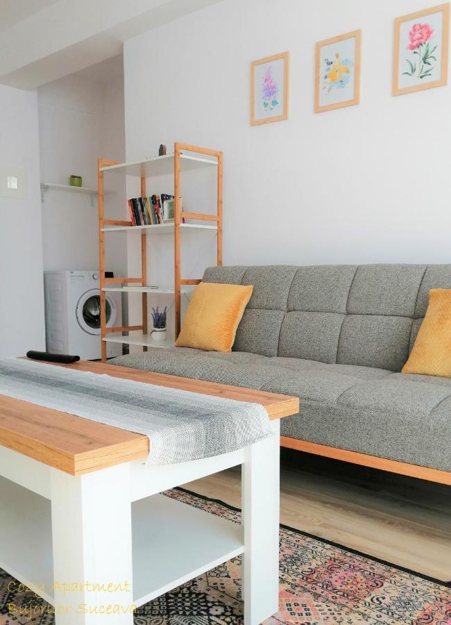 Cozy Apartment Bujorilor 苏恰瓦 外观 照片