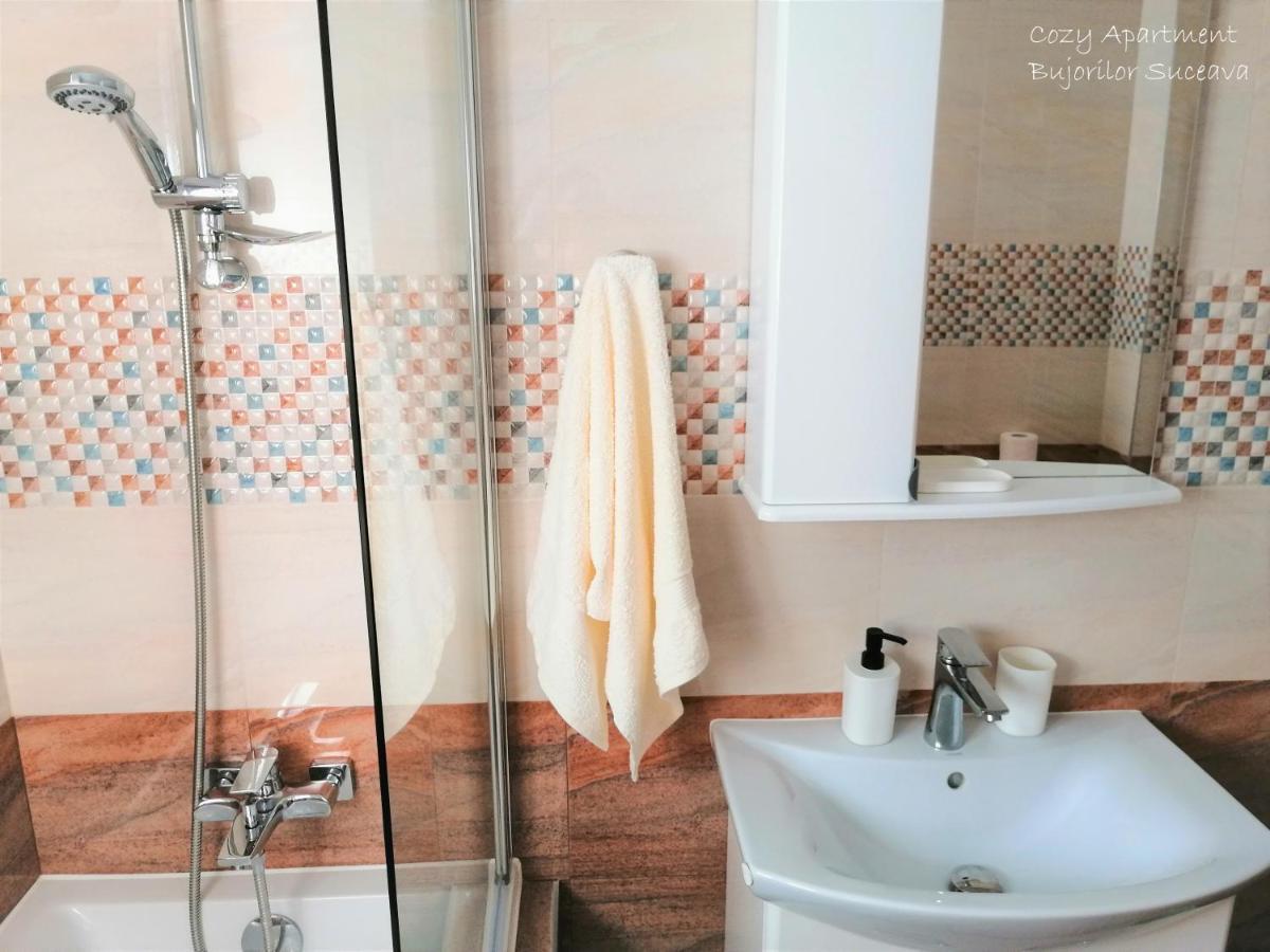 Cozy Apartment Bujorilor 苏恰瓦 外观 照片