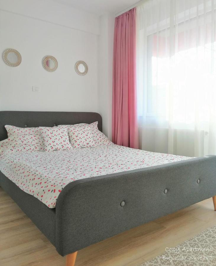 Cozy Apartment Bujorilor 苏恰瓦 外观 照片