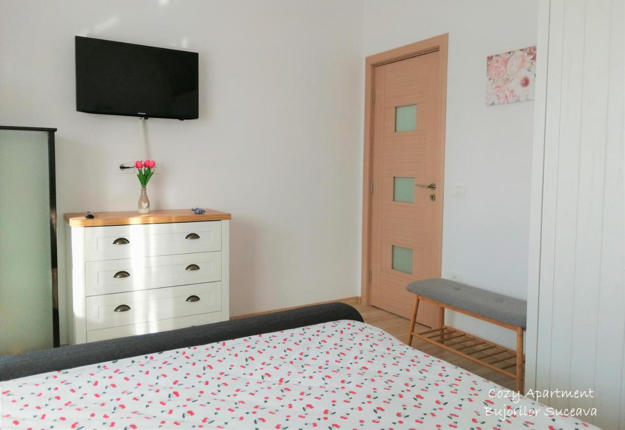 Cozy Apartment Bujorilor 苏恰瓦 外观 照片