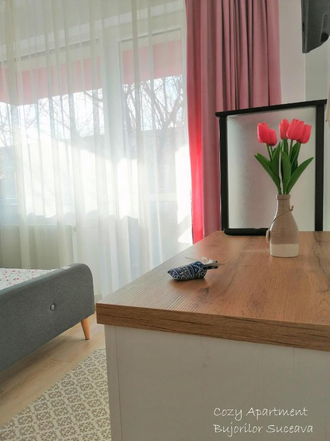 Cozy Apartment Bujorilor 苏恰瓦 外观 照片