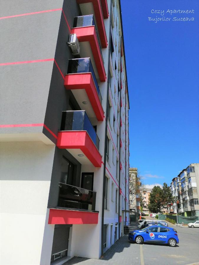 Cozy Apartment Bujorilor 苏恰瓦 外观 照片