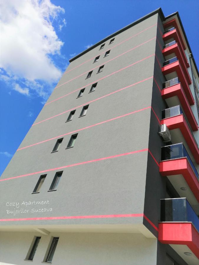 Cozy Apartment Bujorilor 苏恰瓦 外观 照片