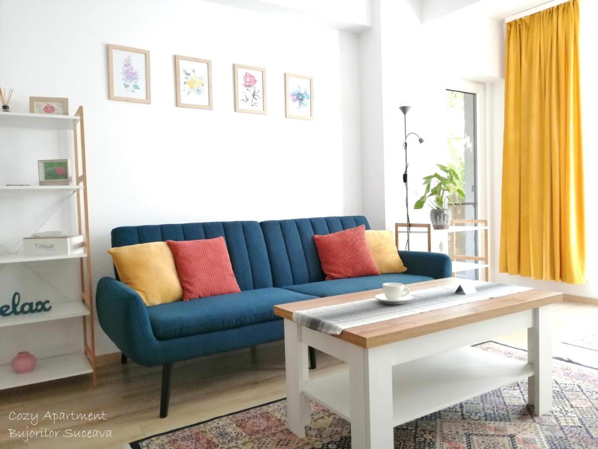 Cozy Apartment Bujorilor 苏恰瓦 外观 照片