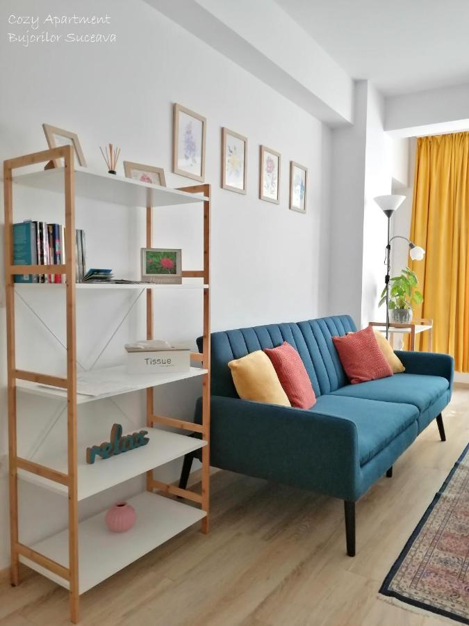 Cozy Apartment Bujorilor 苏恰瓦 外观 照片